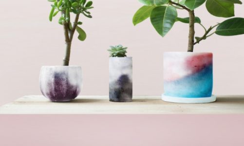 „Plants-skin”, czyli skóra dla roślin