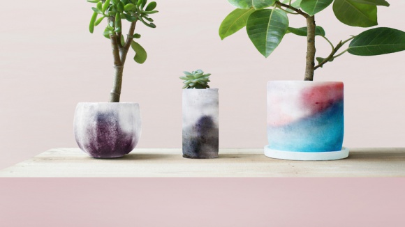 „Plants-skin”, czyli skóra dla roślin