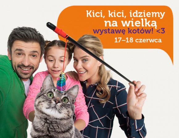 Kocie piękności w Europie Centralnej