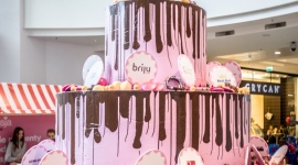 Urodziny Sukcesji Styl życia, LIFESTYLE -