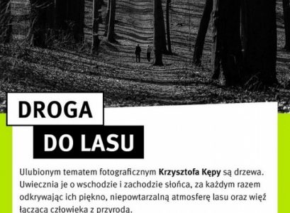 Mieszkaniec Katowic zachwyca zdjęciami przyrody. Zobacz „Drogę do lasu”