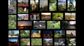 Osiedle okiem mieszkańców. Konkurs fotograficzny w Wolnym Mieście.