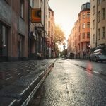 Czystość otoczenia jest gwarancją szczęścia