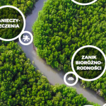 Co z tą wodą? Jak przeciwdziałać wyniszczającej suszy?