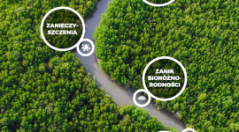 Co z tą wodą? Jak przeciwdziałać wyniszczającej suszy?