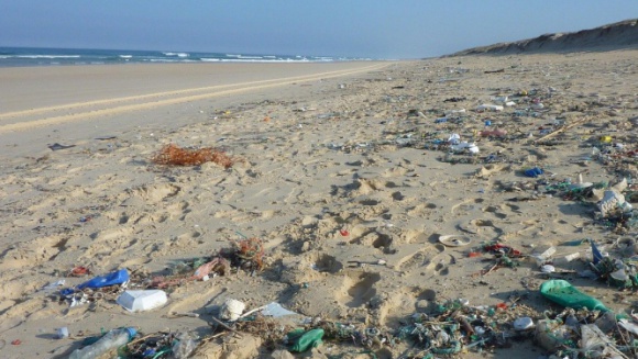Wakacje w zgodzie z naturą. Nie zmieniaj kurortów w śmietniska